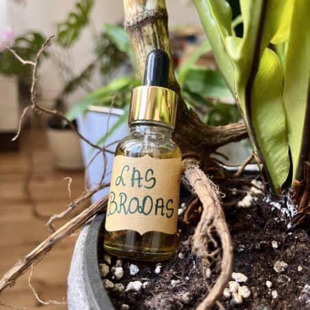 Olejek do brody „Las Brodas”